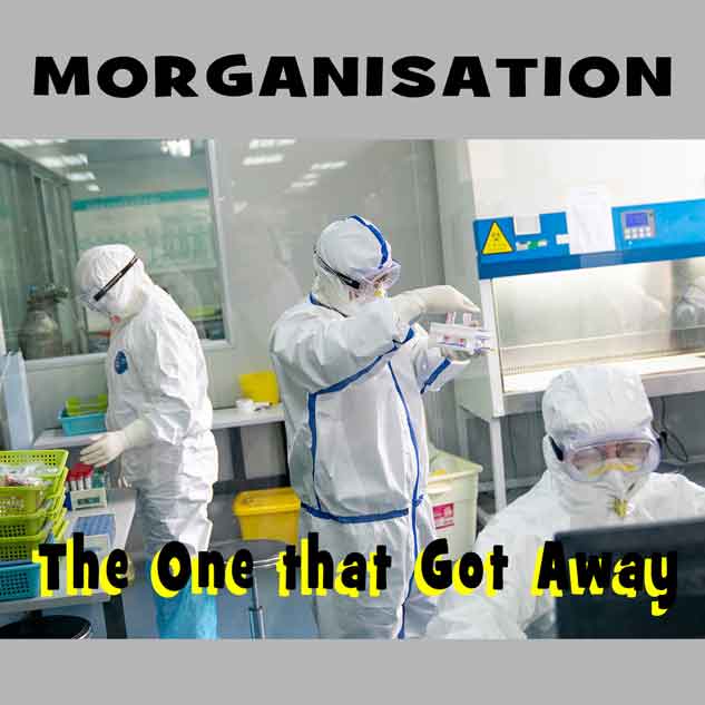 morganisation
