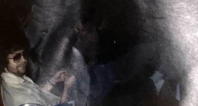 Wisseloord Studios, 1982: