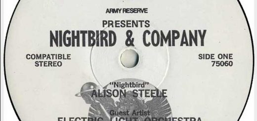Nightbird And Company: Cosmic Connections