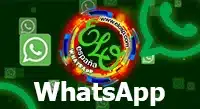 ELOSP WHATSAPP
