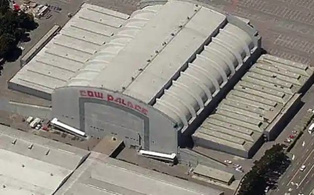 cow palace