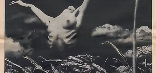 idle race desnuda 69