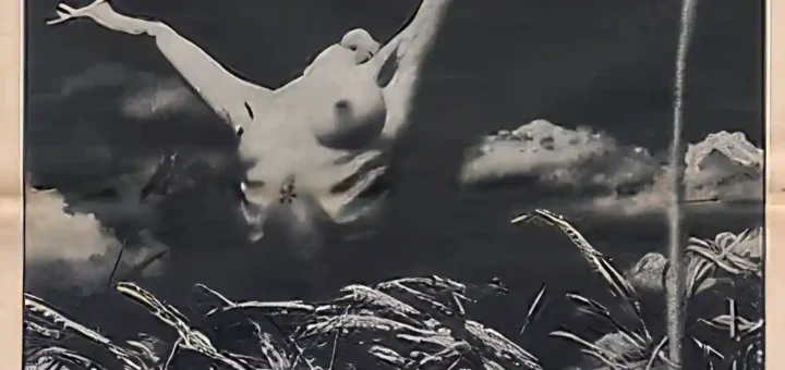 idle race desnuda 69