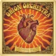 onion orchestra