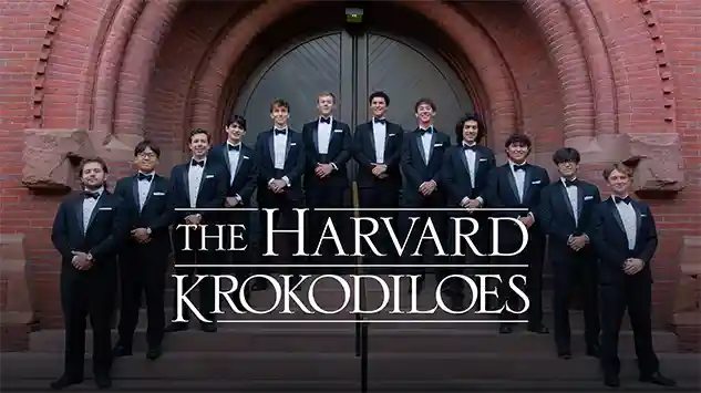krokodiloes